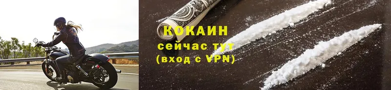 COCAIN Перу  как найти   Петропавловск-Камчатский 