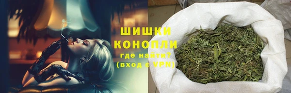ECSTASY Майский