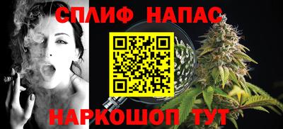 бошки Дубна
