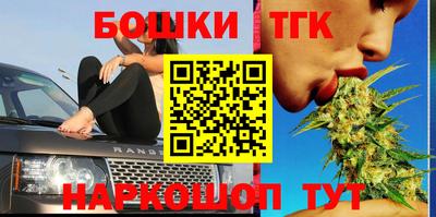 бошки Дубна