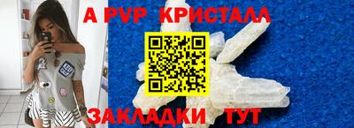 бошки Дубна