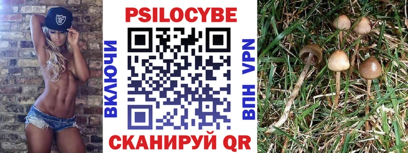 купить закладку Петропавловск-Камчатский Псилоцибиновые грибы мухоморы