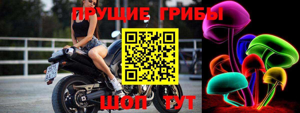 где найти наркотики  Вход с VPN  Петропавловск-Камчатский  Псилоцибиновые грибы MAGIC MUSHROOMS  Псилоцибиновые грибы Psilocybine cubensis 