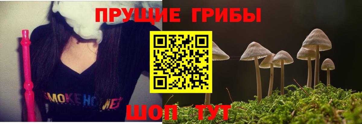 Псилоцибиновые грибы Cubensis Петропавловск-Камчатский